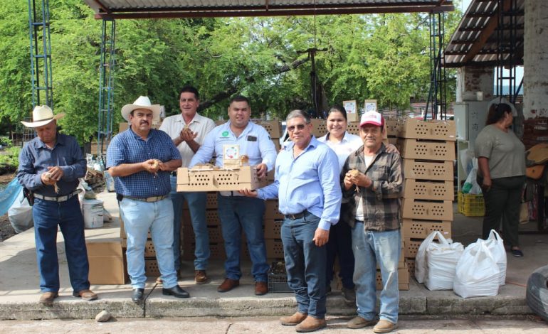 Entregará Sader 15 mil paquetes para producción de alimentos a familias campesinas