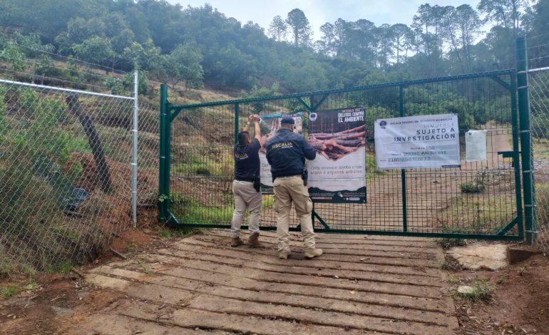 En el marco de la estrategia Guardián Forestal, FGE redobla esfuerzos contra el cambio ilegal de uso de suelo para cultivos de aguacate