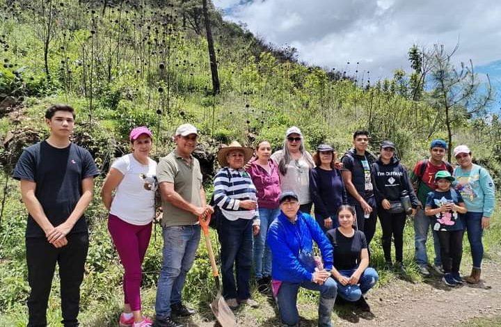 En San Bartolo reforestan en Colonia 5 de Mayo