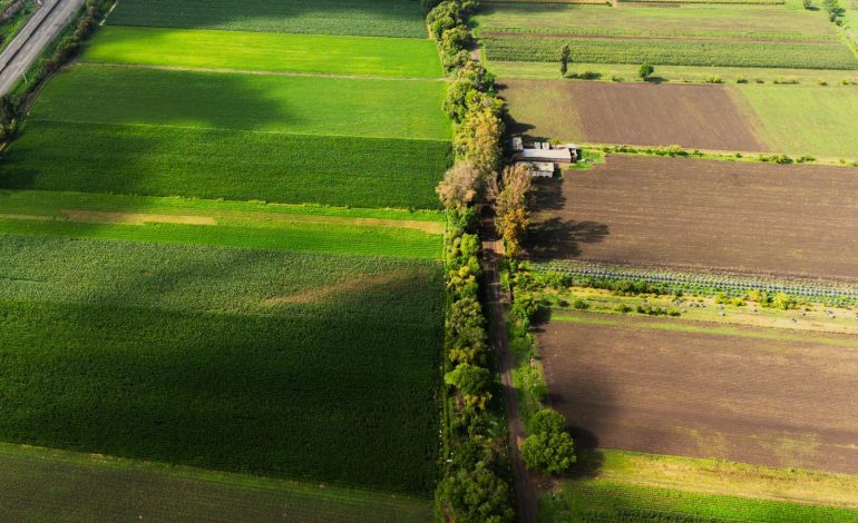 Ofrece Sader seguro agrícola a pequeños productores de temporal