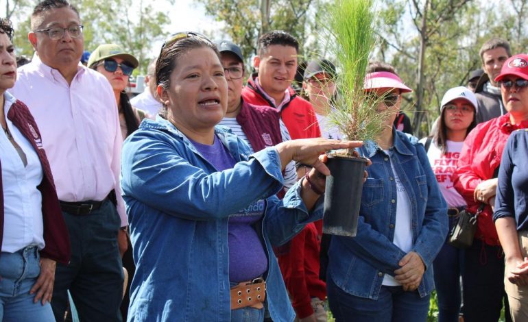 Arranca Gobierno estatal reforestación de Áreas Naturales Protegidas