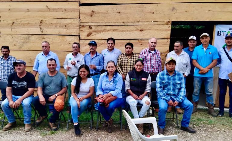 Con nueva biofábrica fortalecen producción ganadera y de aguacate en Cotija: Sader