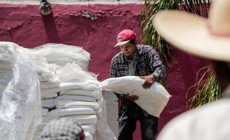 Entrega Sader más de 37 toneladas de minerales a productores de 4 municipios