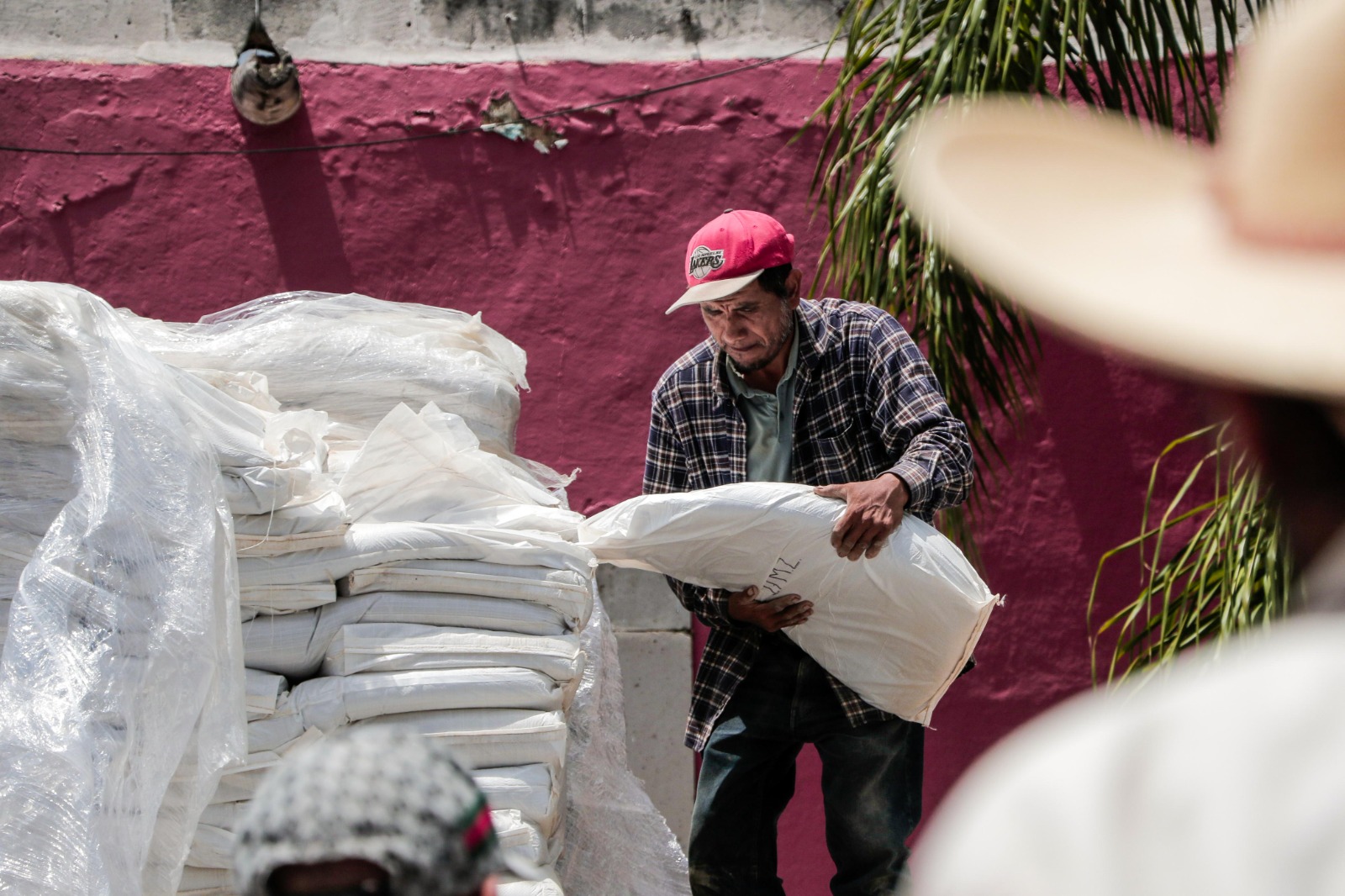 Entrega Sader más de 37 toneladas de minerales a productores de 4 municipios