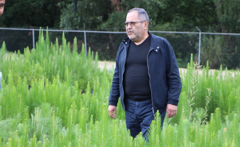 José Luis Téllez Marín, realizó la entrega simbólica de 300 mil arbolitos, para beneficiar a los silvicultores del municipio.