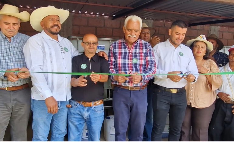 Con biofábrica, productores de Zacapu fortalecerán cultivo de maíz nativo.