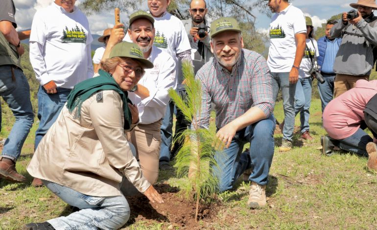 Arrancó reforestación simultánea en 12 municipios de Michoacán.