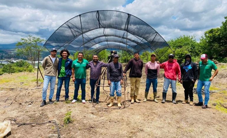 Estudiantes del Cecytem Tangancícuaro se beneficiarán con vivero escolar.