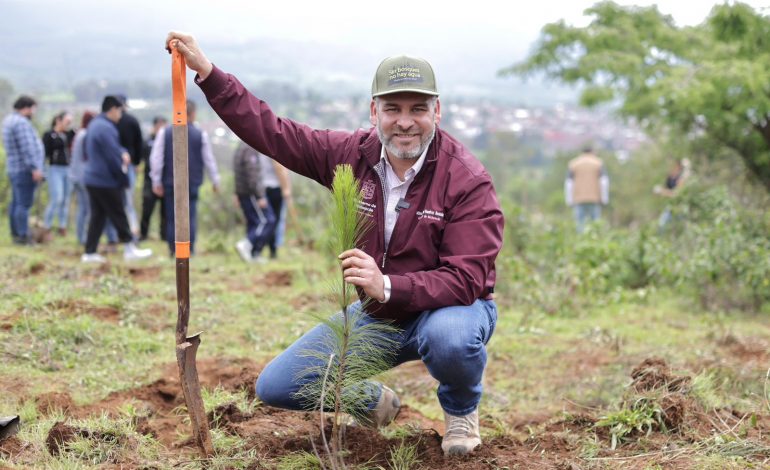 Bedolla arranca reforestación de un millón y medio de árboles en la cuenca del lago de Pátzcuaro.