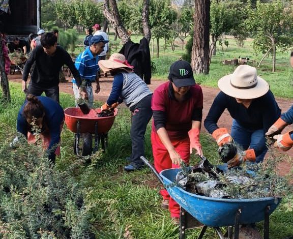 Michoacán recibe cerca de 23 mil plantas para reforestar bosques y cuencas.