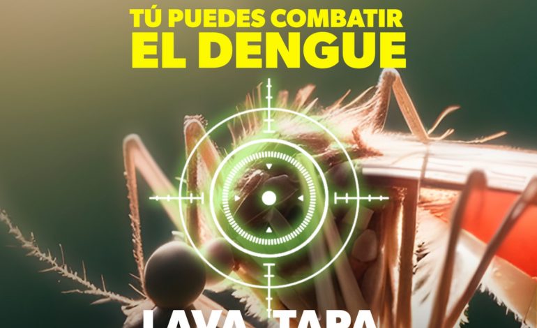 Protege a tu familia del dengue con estas recomendaciones de la SSM