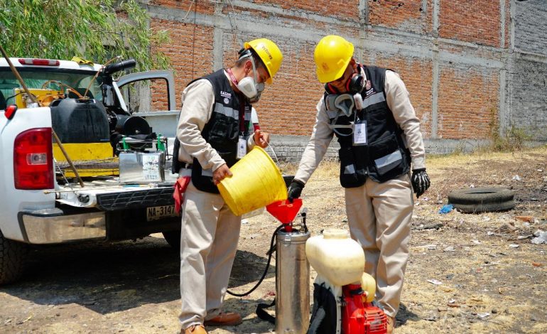 Continúa SSM con acciones de combate al dengue; suman más de 800 mil.