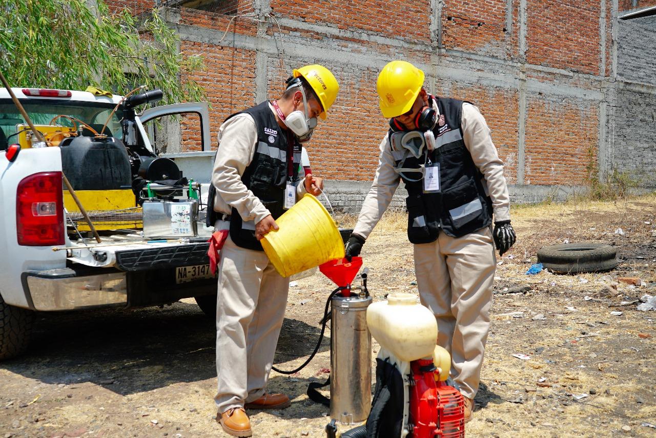 Continúa SSM con acciones de combate al dengue; suman más de 800 mil.