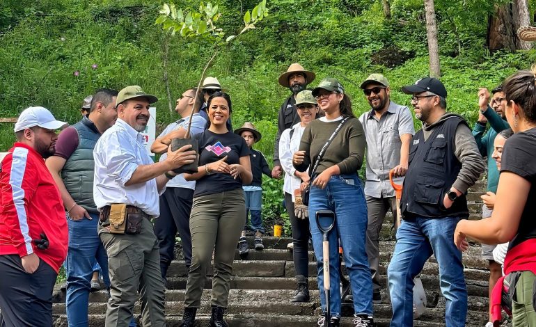 Gobierno estatal reforesta el Parque Francisco Zarco, en Morelia.