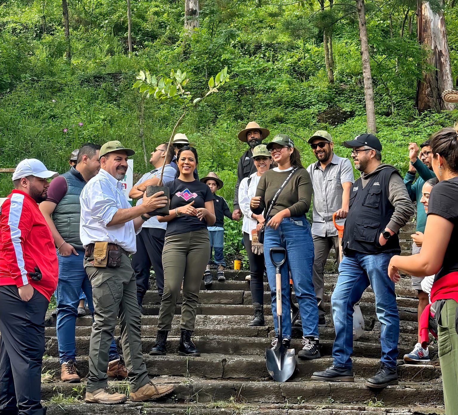Gobierno estatal reforesta el Parque Francisco Zarco, en Morelia.
