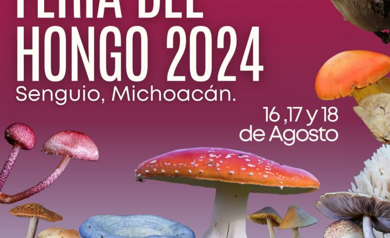 Llegó “hongosto” y la feria de Senguio te espera con más de 100 variedades.