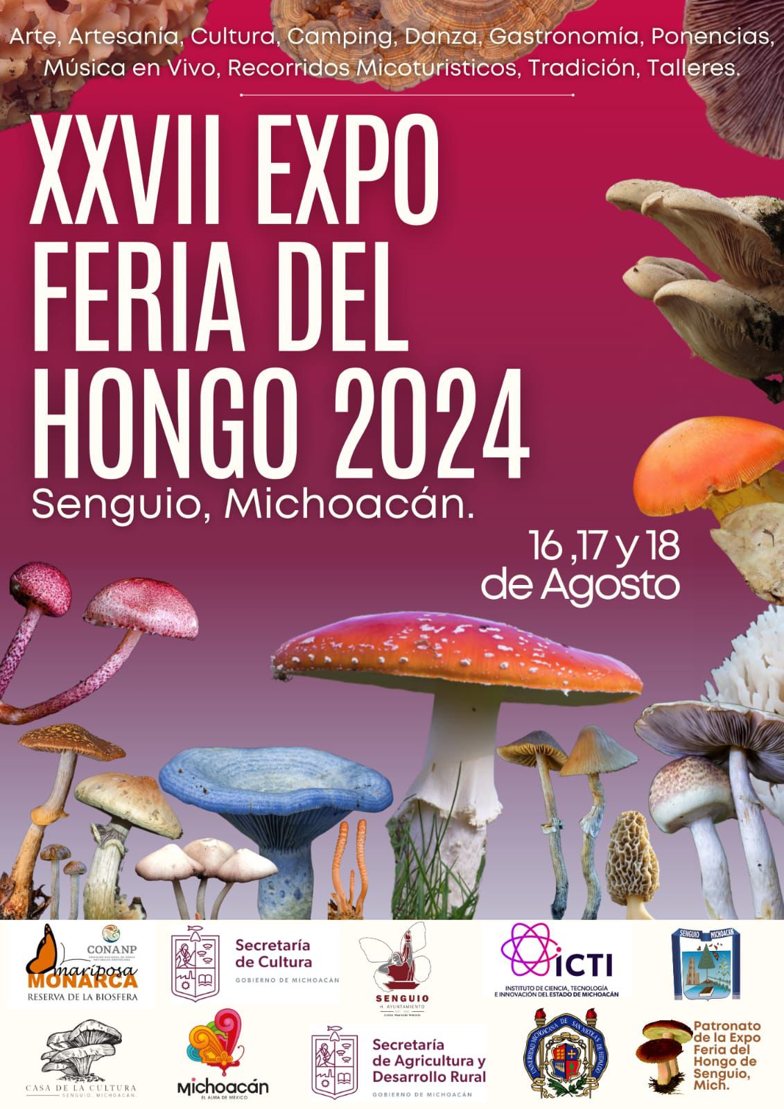 Llegó “hongosto” y la feria de Senguio te espera con más de 100 variedades.
