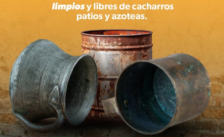 Aplica esta estrategia para evitar la reproducción del mosco transmisor del dengue.