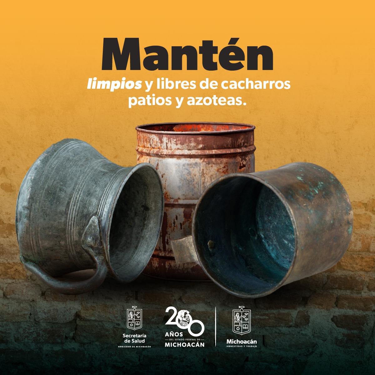 Aplica esta estrategia para evitar la reproducción del mosco transmisor del dengue.