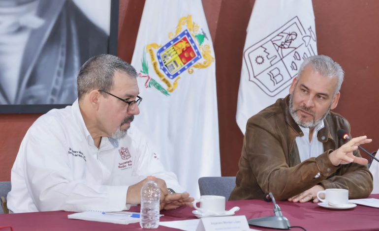 Organismos acreditadores se suman a certificación estatal contra la deforestación.