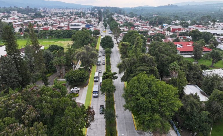 Sedum trabaja en obras complementarias al teleférico de Uruapan: Gladyz Butanda