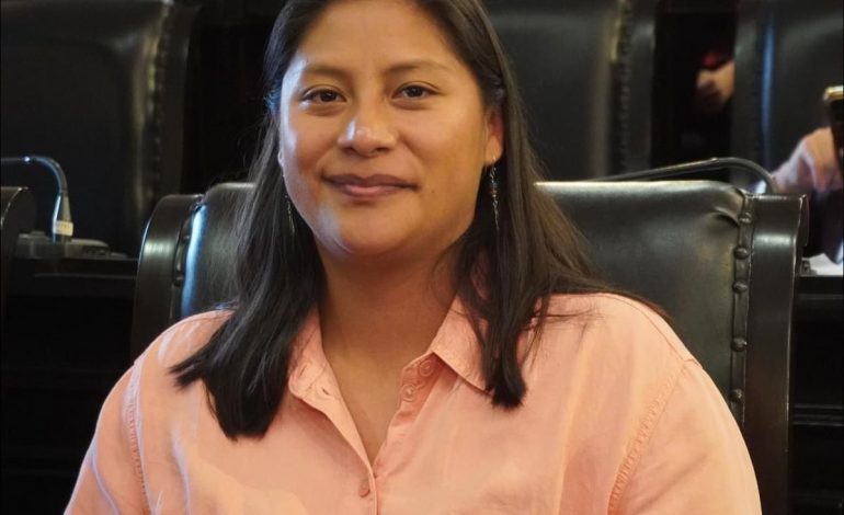 La reforma judicial pasará, afirma Celeste Ascencio