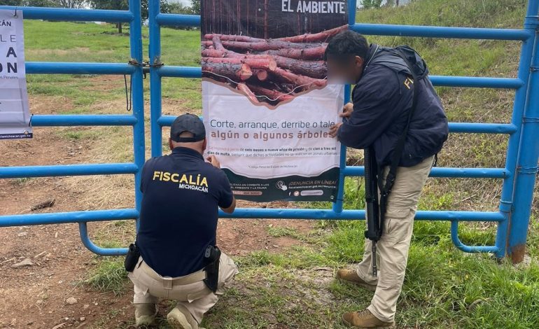 En Acuitzio, cumplimenta FGE orden de cateo en predio relacionado en plantación ilegal de aguacate