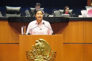 Destaca Celeste Ascencio alta participación en renovación de titular de CNDH