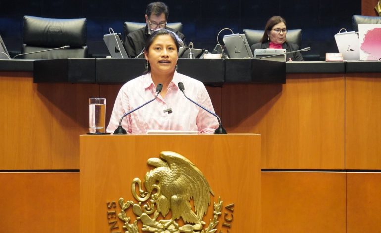 Destaca Celeste Ascencio alta participación en renovación de titular de CNDH