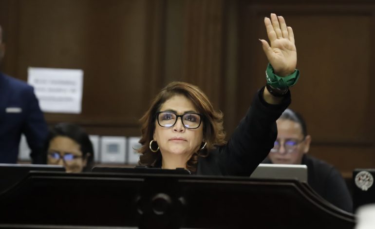 Despenalización del aborto, primer paso para garantizar derechos de las mujeres: Fabiola Alanís