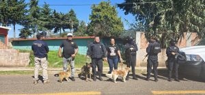 En Senguio, rescata Fiscalía General a tres perros en condiciones de maltrato animal