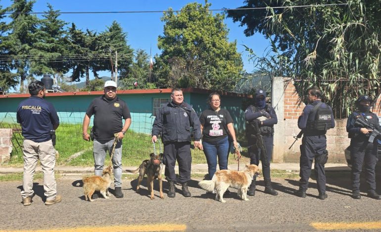 En Senguio, rescata Fiscalía General a tres perros en condiciones de maltrato animal