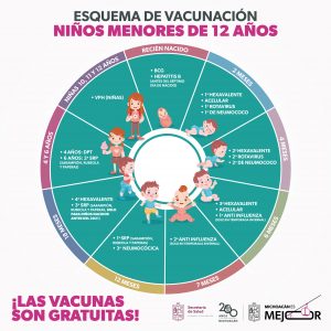 Estas vacunas puedes aplicar a niñas y niños en centros de salud de la SSM