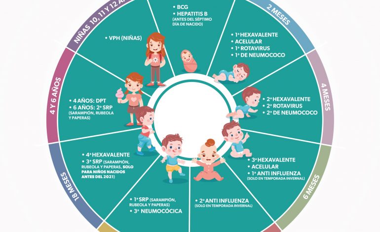 Estas vacunas puedes aplicar a niñas y niños en centros de salud de la SSM