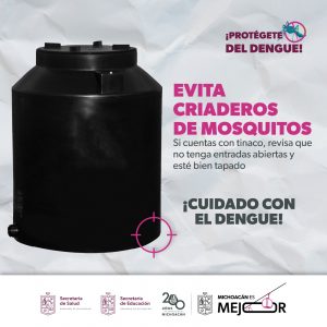 Evita criaderos de mosquitos en tu escuela y protégete del dengue