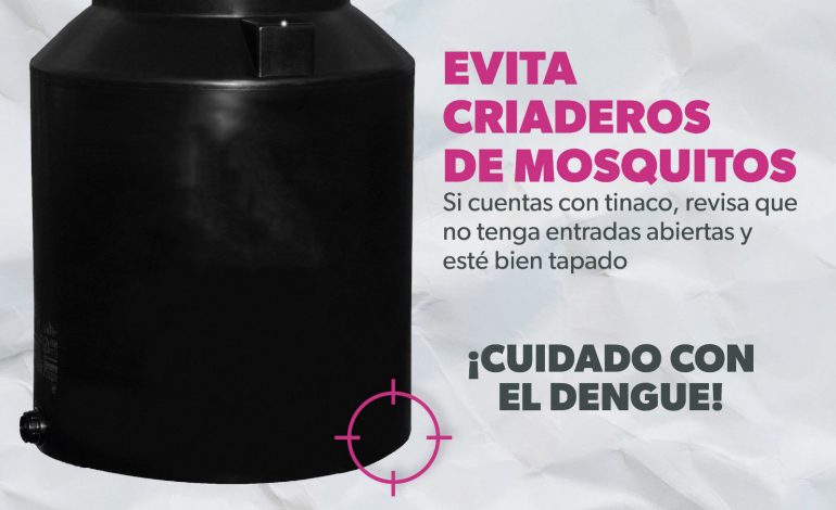 Evita criaderos de mosquitos en tu escuela y protégete del dengue