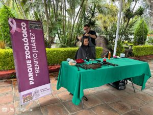 Donan cabello para pelucas oncológicas en Zoológico de Morelia