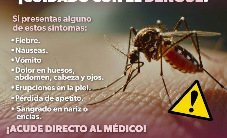 SEE, SSM y comunidades escolares hacen frente al dengue