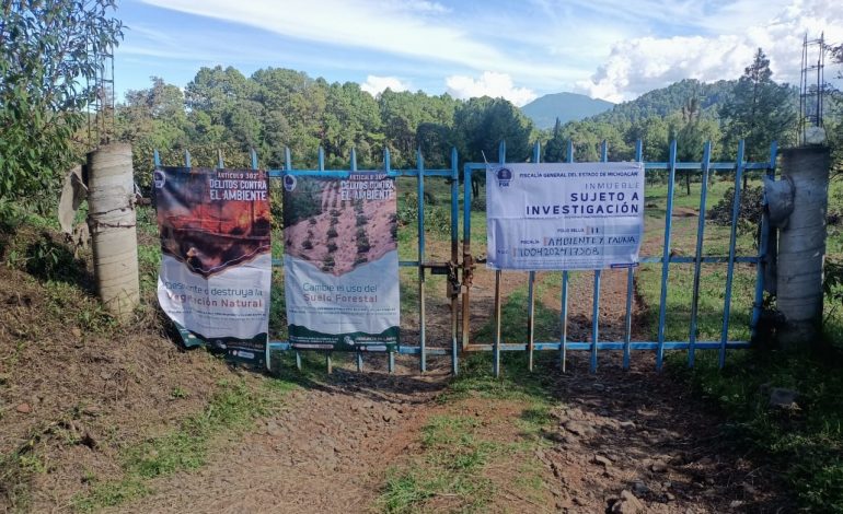 Cumplimenta FGE orden de cateo en predio relacionado en delitos contra el ambiente, en Los Reyes