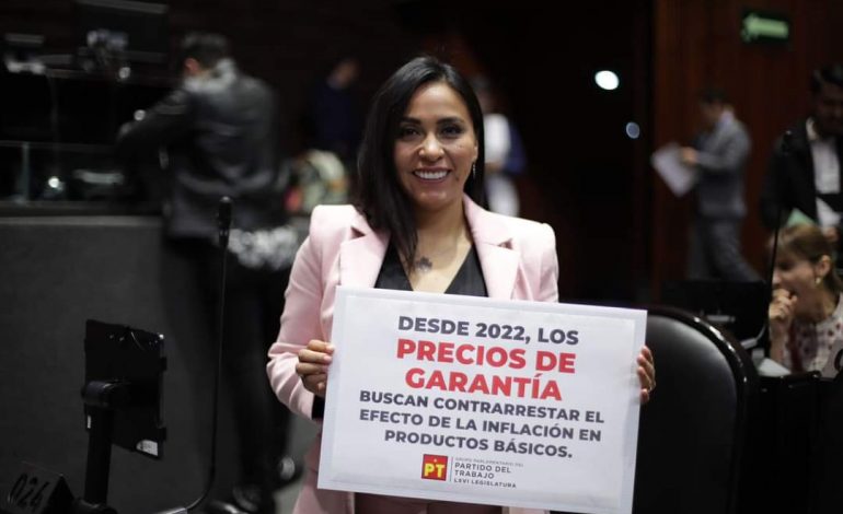 Los programas sociales de la 4T ya son derechos constitucionales: Mary Carmen Bernal