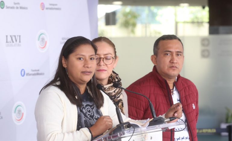 Sin favoritismos y apegada a derecho, elección en la CNDH: Celeste Ascencio