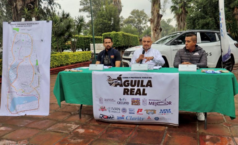 Correrán en el Zoológico de Morelia por el águila real
