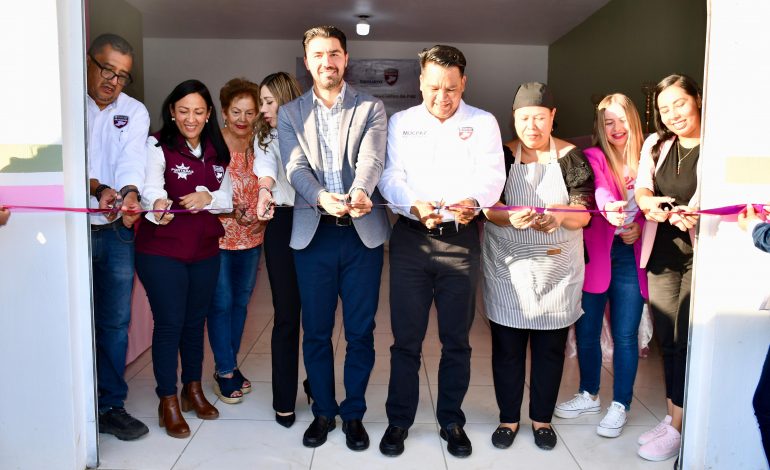 Impulsa SESESP autonomía económica de las mujeres de Sahuayo