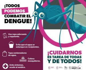 Prevenir el dengue es tarea de todos: SEE.