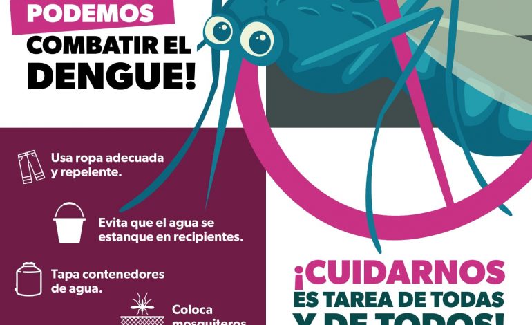 Prevenir el dengue es tarea de todos: SEE.