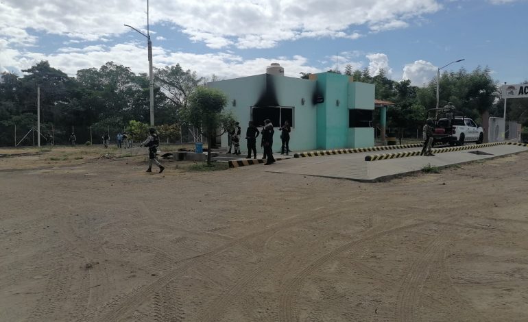 Atienden fuerzas federales y estatales intento de incendio en empaque limonero, en Apatzingán