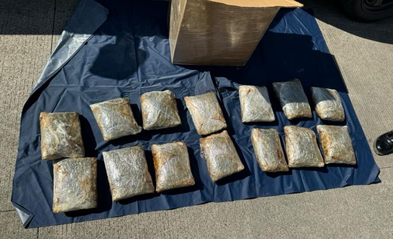 SSP y Guardia Nacional decomisan más de 10 kg de mariguana en Uruapan