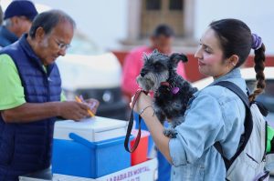 Anuncia SSM vacunación antirrábica para perros y gatos, en Morelia