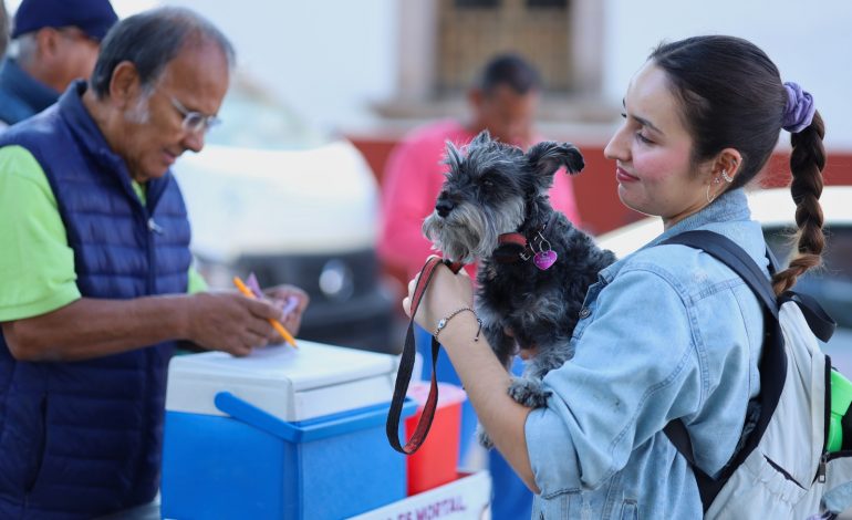 Anuncia SSM vacunación antirrábica para perros y gatos, en Morelia