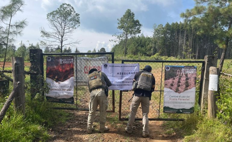 En cateo,  detiene FGE a dos hombres y asegura predio relacionado en delitos contra el ambiente
